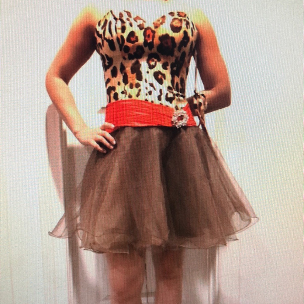 Cheetah Print Homecoming/Cocktail Dress.